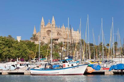 Fishing harbour and Cathedral of Santa Maria of Palma (La Seu), Palma de Mallorca, Majorca, Balearic Islands, Spain, Mediterranean, Europe