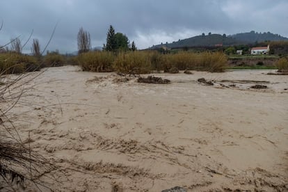 Cauce del río Argos a su paso por el municipio de Cehegín (Murcia), este jueves.
