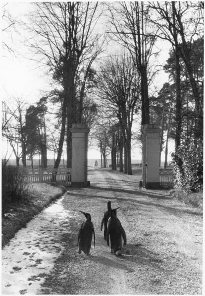 En el parque de un castillo de Touraine durante un descanso del circo Pinder, 1954