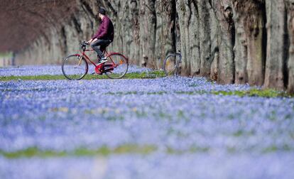 Un hombre pasea con una bicicleta por un parque Hanover (Alemania), el 6 de abril de 2018.