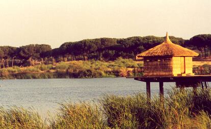 Observatorio de aves de la laguna.