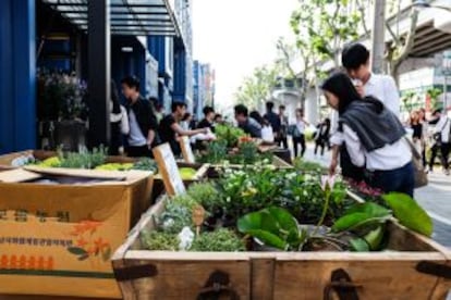 Common Ground, en Seúl, acoge mercados de flores los fines de semana.