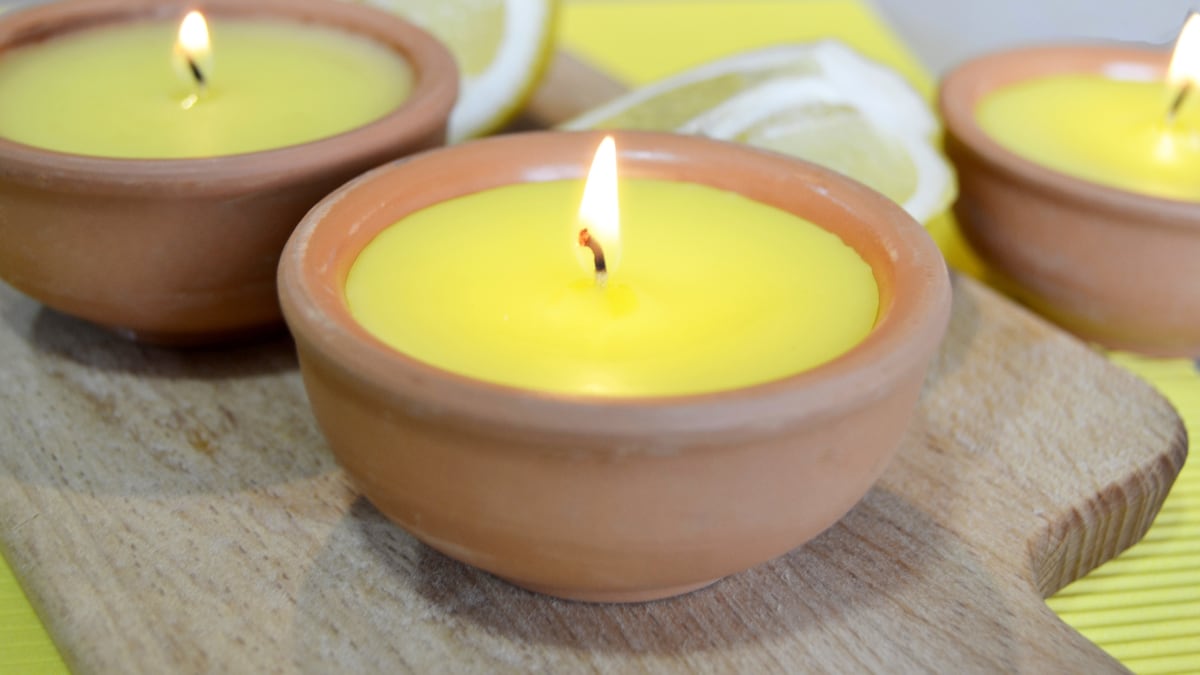5 productos con citronela ideales para decir adiós a los mosquitos en casa