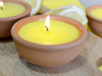 Estos son los mejores productos con citronela para eliminar a los mosquitos de la casa