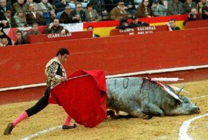 El cuarto toro, inválido como toda la corrida, se desploma al tomar la muleta de Oscar Higares.