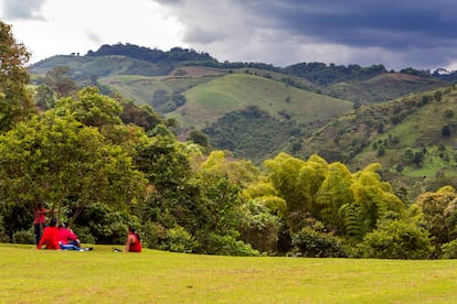 Entorno natural en el que se encuentra el Alto de las Piedras, cerca de San Agustín (Colombia).