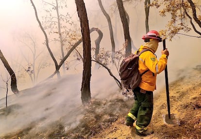 Incendios en México sequía