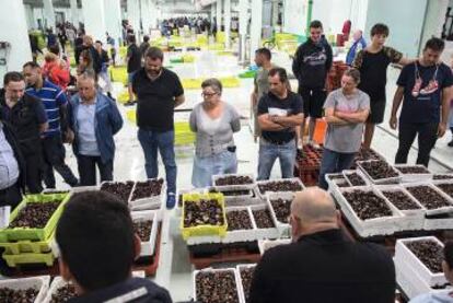 Varios compradores observan el género en la lonja de la ciudad gallega a las seis de la mañana.