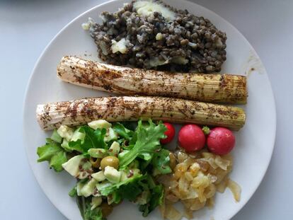 Bodegón de mi creación compuesto de ensalada solo verde, cebolla confitada, puerros al horno, rábanos, lentejas y puré de patatas. Delicioso en todos los sentidos (físicos).