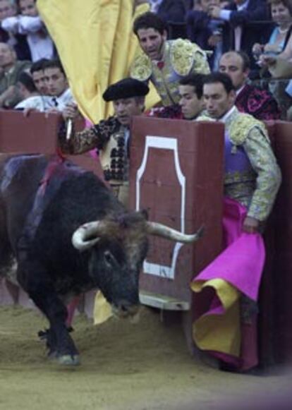 El sexto toro tuvo que ser apuntillado en el ruedo.