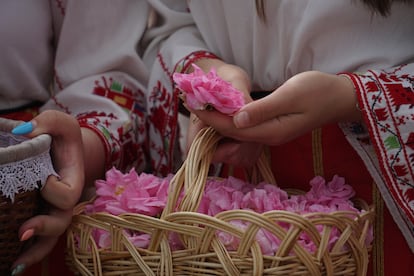 Detalle del Festival de la Rosa de Bulgaria, en Kazanla.
