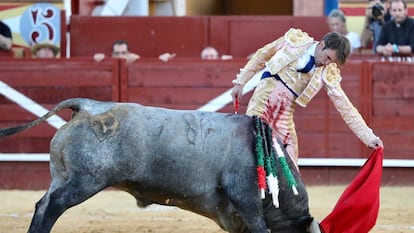 Adrián de Torres torea al natural al sexto de la tarde.