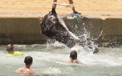 Imagen del festejo taurino que se celebra en Denia