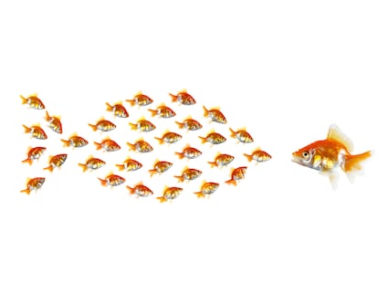 ‘Small caps’: ¿la próxima oportunidad de la renta variable?