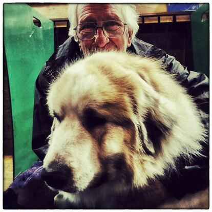 BIRMINGHAM, ENGLAND - MARCH 06: (EDITORS NOTE: This image was created using digital filters) An owner hugs his Pyrenean Mountain Dog on the second day of Crufts dog show at the National Exhibition Centre on March 6, 2015 in Birmingham, England. First held in 1891, Crufts is said to be the largest show of its kind in the world, the annual four-day event, features thousands of dogs, with competitors travelling from countries across the globe to take part and vie for the coveted title of 'Best in Show'. (Photo by Carl Court/Getty Images)