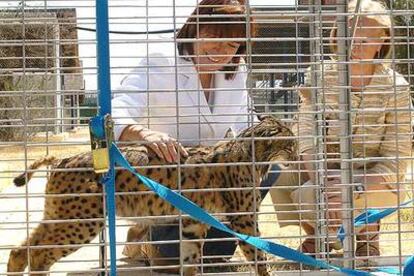 La ministra y la consejera de Medio Ambiente, Narbona (izquierda) y Coves, ayer en Doñana, en el centro de cría en cautividad del lince ibérico.