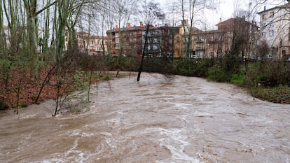 Crecida del caudal del río Fluvià, debido a las intensas lluvias de las últimas horas, este domingo a su paso por Olot (Girona). 
