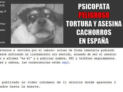 Captura del blog de Anonymus donde se informa de las pistas que pueden ayudar a localizar al torturador de cachorros.