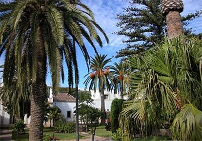 Jardín con palmeras en el hotel Duque de Medinaceli de El Puerto de Santa María (Cádiz).