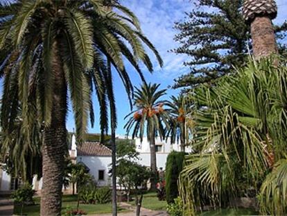 Jardín con palmeras en el hotel Duque de Medinaceli de El Puerto de Santa María (Cádiz).