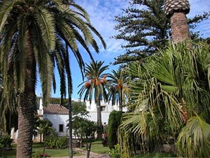 Jardín con palmeras en el hotel Duque de Medinaceli de El Puerto de Santa María (Cádiz).