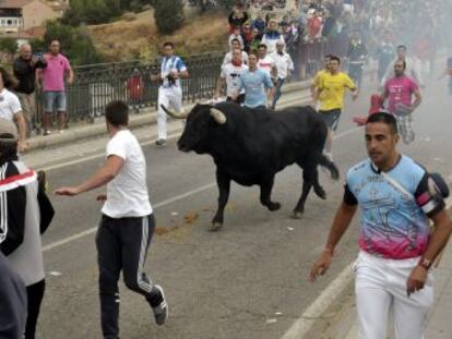 Acaba el Toro de la Peña. Los participantes vuelven de las afueras