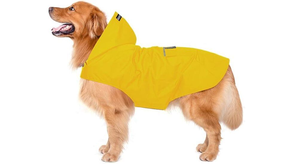 Chubasquero para perros medianos y grandes.