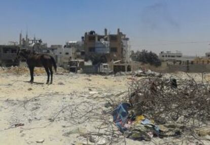 Recogida de hierros en Gaza.