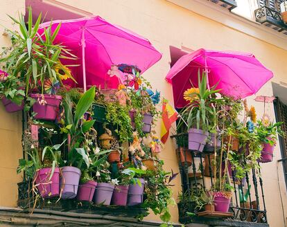 Tener plantas en casa conlleva acciones y prácticas que también generan huella ambiental y residuos.