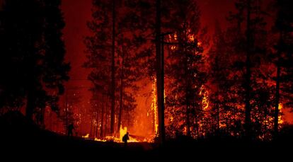 Los bomberos tratan de apaciguar las llamas en el bosque californiano Shasta-Trinity.