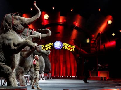 Actuación con elefantes en el circo Ringling, el 30 de abril.