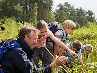 Teacher and pupils at nature reserve