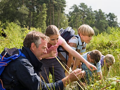 Teacher and pupils at nature reserve