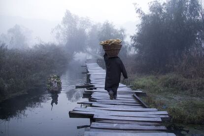 Un hombre transporta una cesta de pan por puente a orillas del lago Dal, en Srinagar, Cachemira.