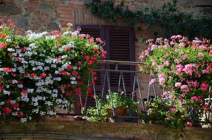 Consejos para las flores en terrazas