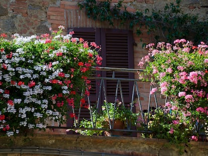 Las terrazas que se adornan con plantas no solo se disfrutan por los que viven en esas casas, sino también por los viandantes.