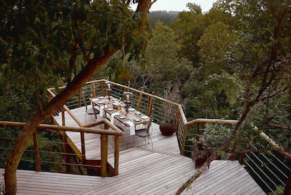 Tsala Treetop (Suráfrica)