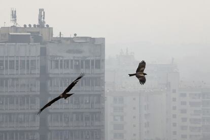 Dos aves vuelan en el cielo contaminado del distrito comercial de Connaught Place, en Nueva Delhi (India).