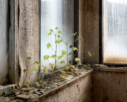 'Vista interior detalle edificio de oficinas de Lemoiz' (2024).