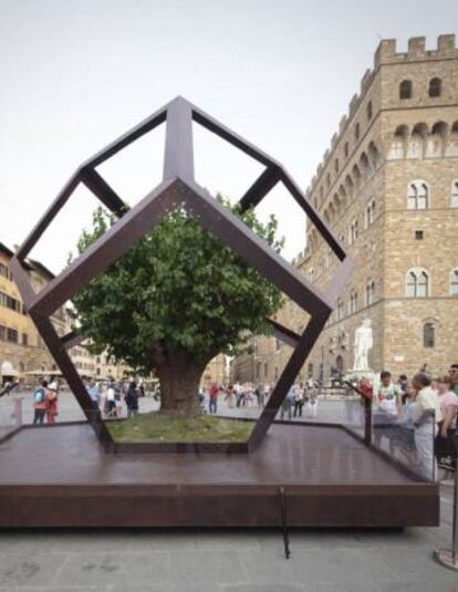 Dodecaedro con una higuera junto al palacio Vecchio de Florencia para promocionar la exposición 'La botánica de Leonardo'.