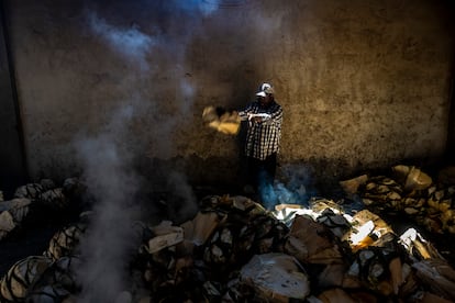 Trabajadores hornean pencas de Mezcal