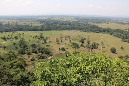 Corazón de la Amazonia, departamento de Guaviare, Colombia. Foto: Banco Mundial