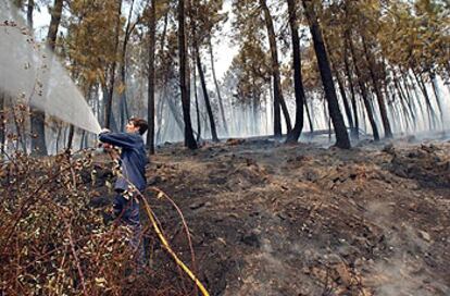 Un bombero combate el fuego el pasado 6 de agosto en los montes de Serta, en el centro de Portugal.