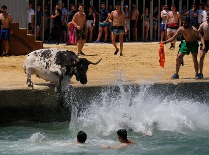 Varias personas que persiguen a un toro saltan al mar durante el festival "Bous a la Mar", en la ciudad costera de Denia (Alicante).