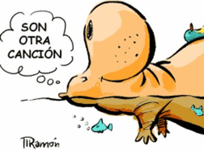 RAMÓN