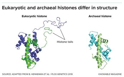 Histones