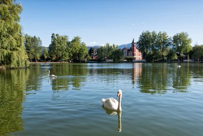 Un cisne en el lago artificial de Puigcerdà. Al fondo, el hotel Villa Paulita.