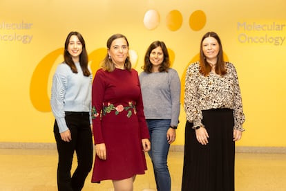 De izquierda a derecha, las científicas Beatriz Cicuéndez, Guadalupe Sabio, Marta León y Cintia Folgueira.