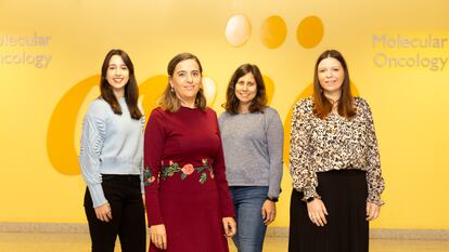 De izquierda a derecha, las científicas Beatriz Cicuéndez, Guadalupe Sabio, Marta León y Cintia Folgueira.