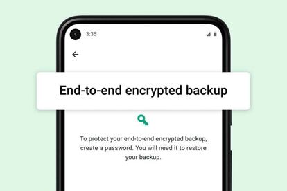 Facebook anuncia los 'backups' cifrados de extremo a extremo en WhatsApp.